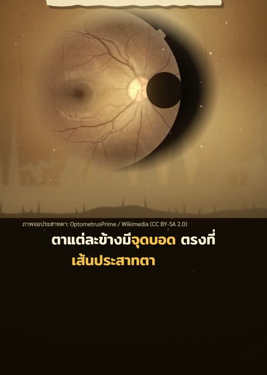 จุดบอดที่สมองเติมภาพให้